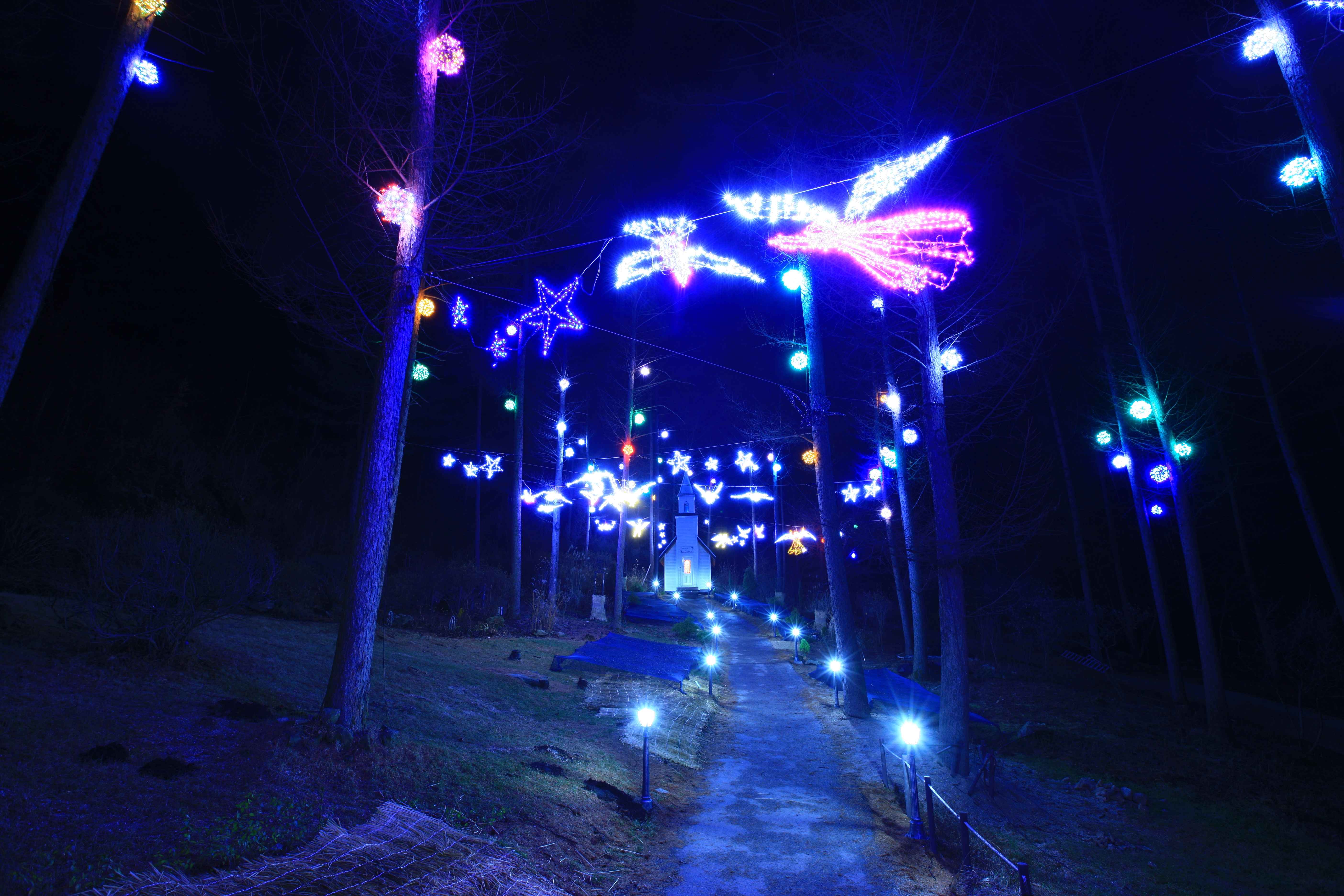 아침고요수목원