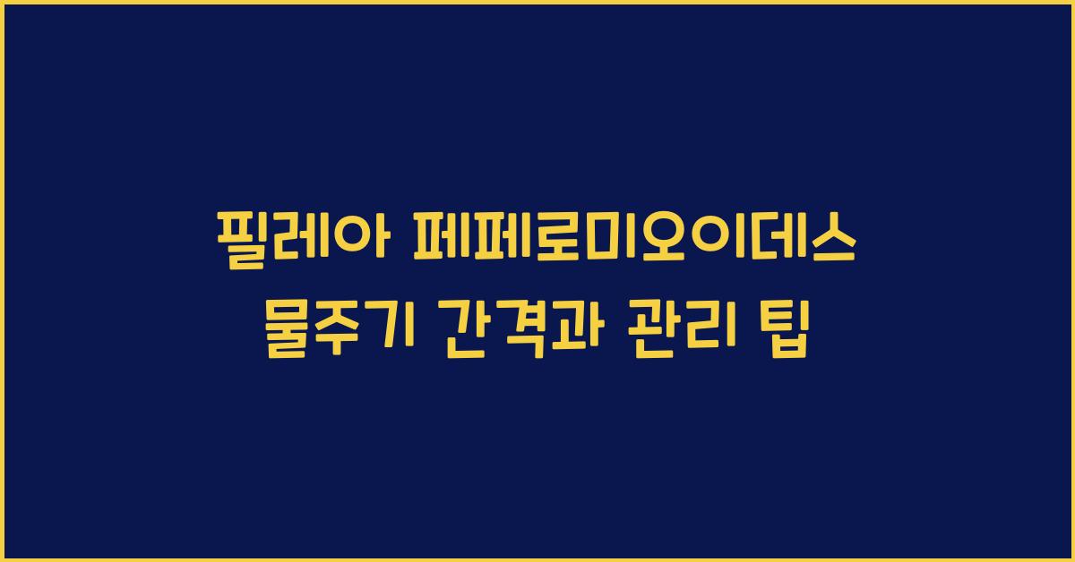 필레아 페페로미오이데스 물주기 간격