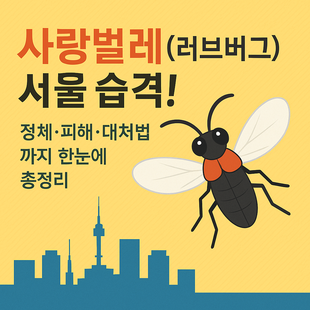 사랑벌레(러브버그) 서울 습격 썸네일