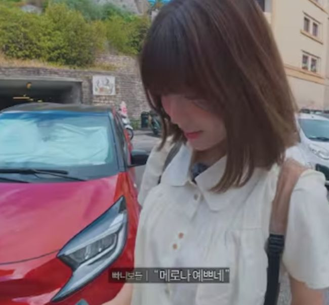 빠니보틀 결혼 임박 총정리｜10살 연하 여자친구 메로나 얼굴 공개&middot;축 결혼 선물&middot;신혼여행&middot;결혼 날짜