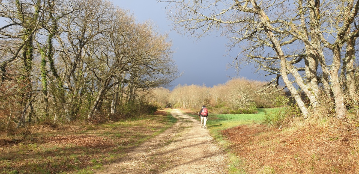 산티아고 순례길 걷기