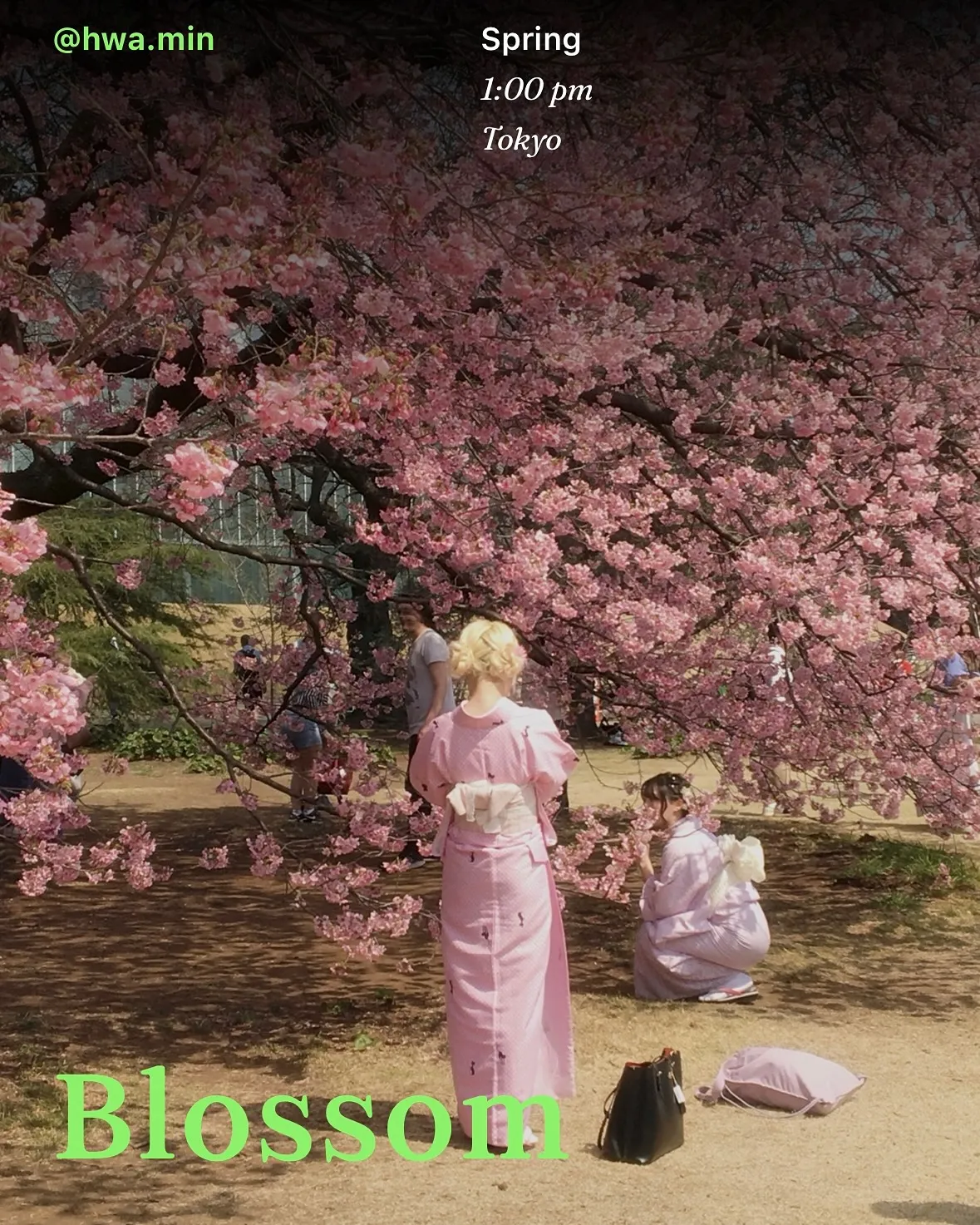 필름화 살펴보기 7