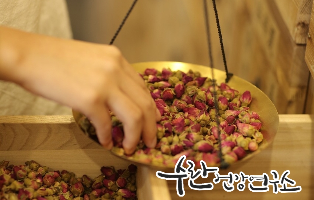 경옥고 효능 가격 광동경옥고