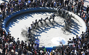 2025 보령머드축제 완벽 가이드