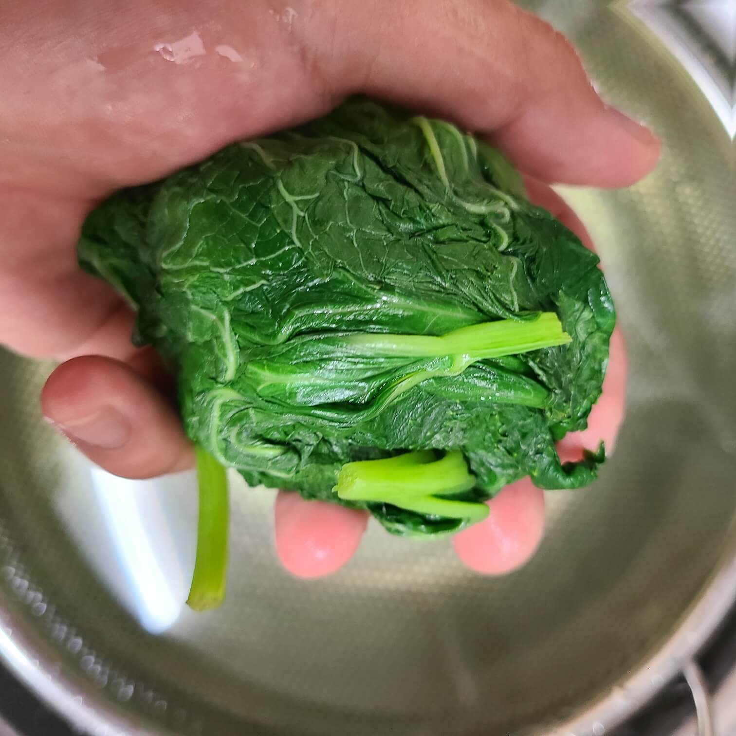 곰취 손질