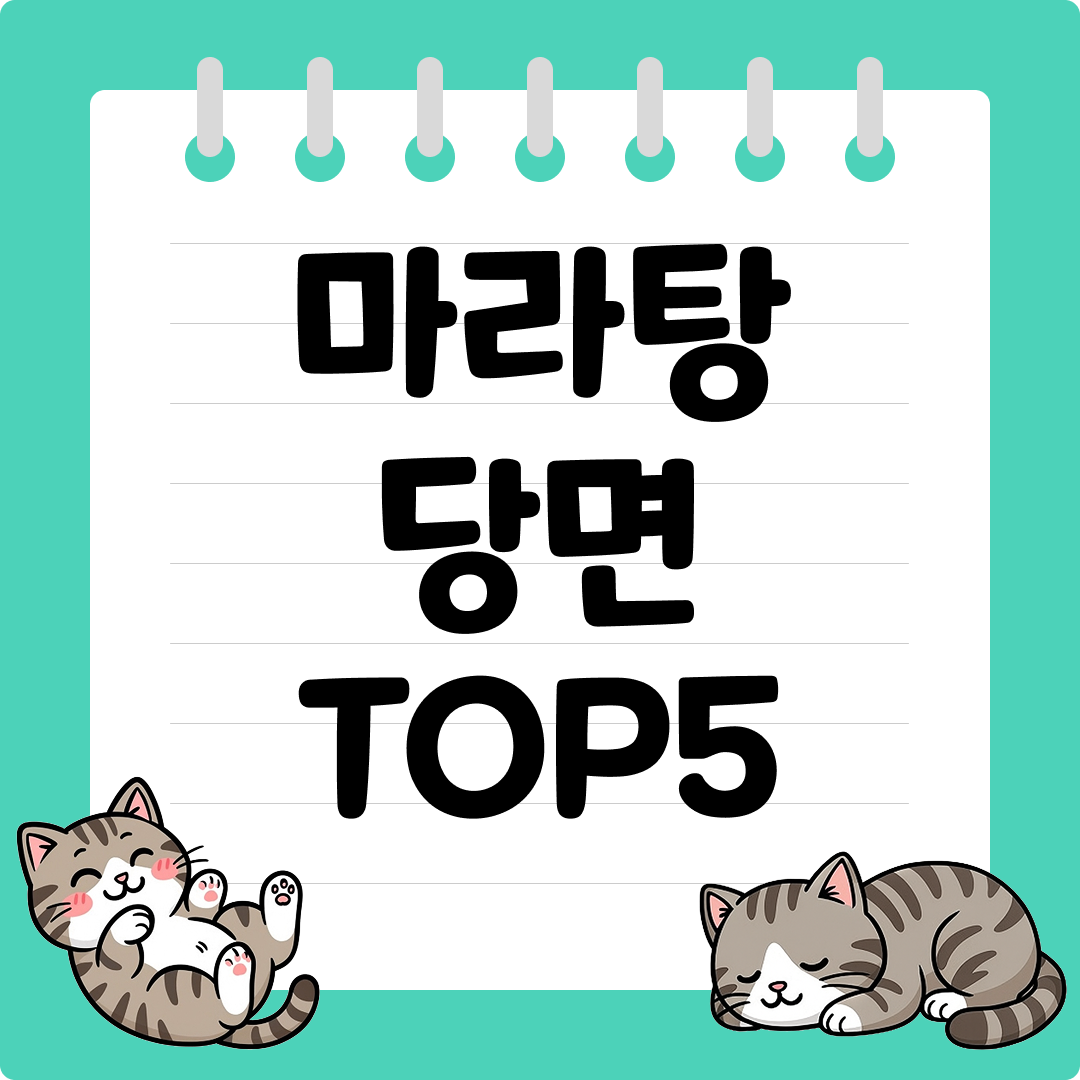 마라탕 국물과 잘 어울리는 쫄깃한 마라탕 당면 추천 순위 TOP5
