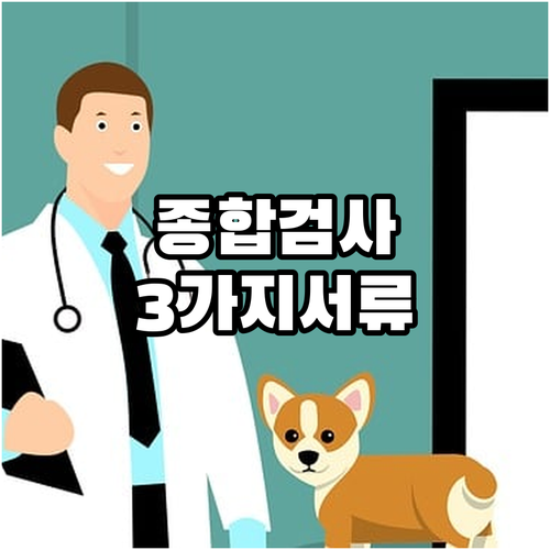 자동차종합검사, 3가지 필수 서류로 ..