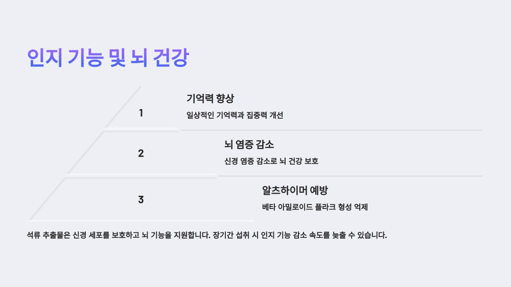 인지 기능 및 뇌 건강