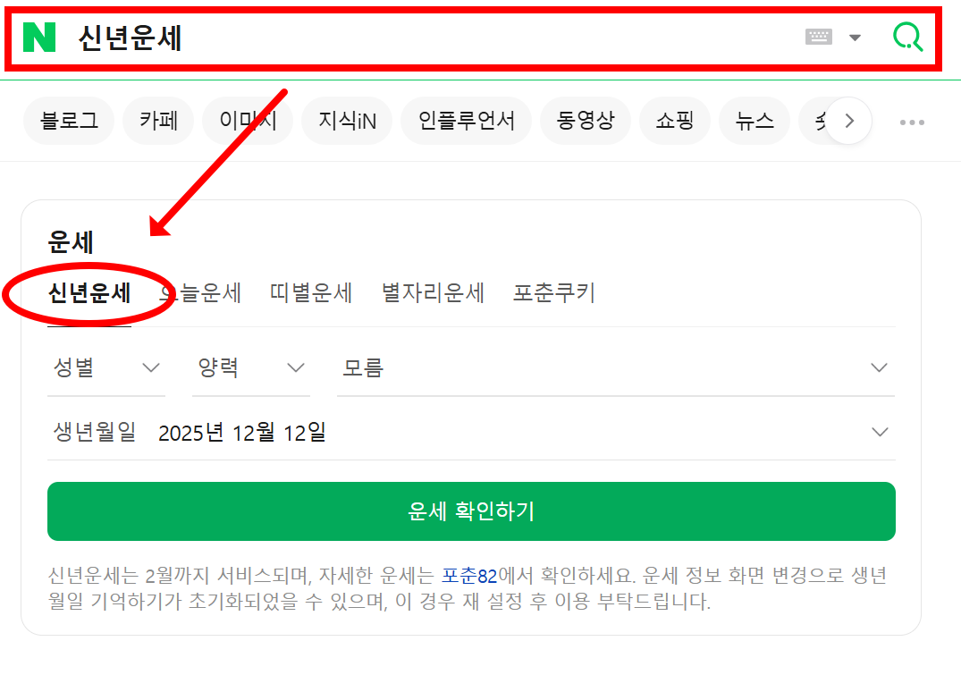 네이버 신년운세 확인하기 화면