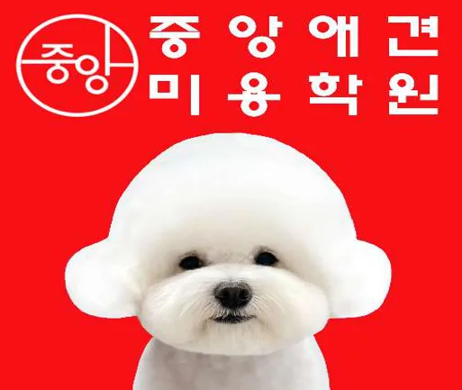 중앙애견미용학원 면목점