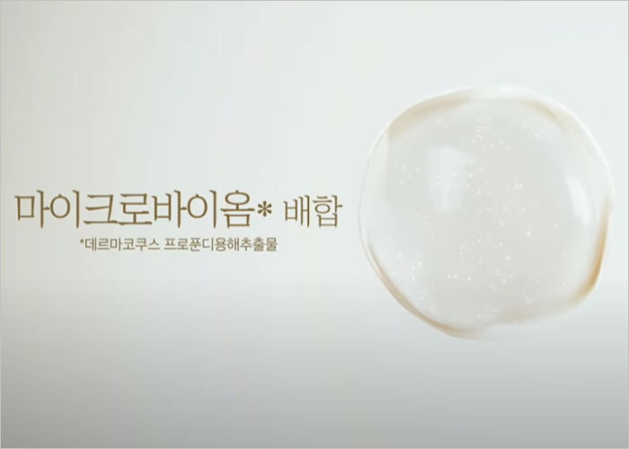 스템벨 가격, 판매처, 크림, 후기