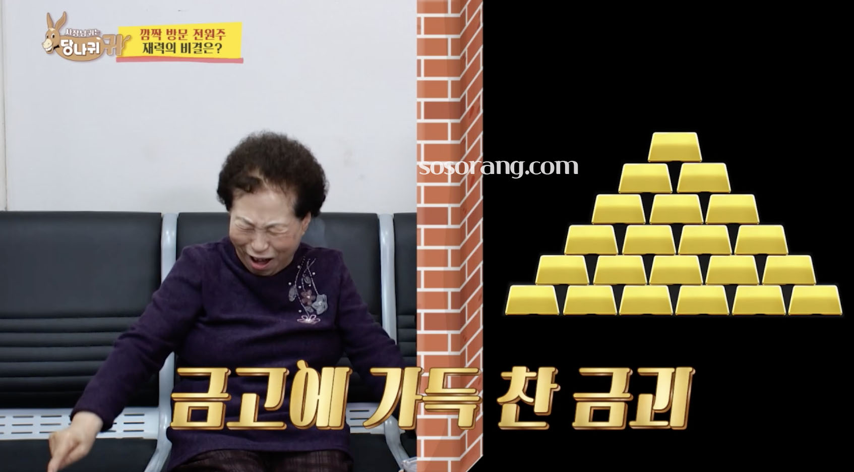 전원주 재산과 금 투자 이야기하는 방송 장면