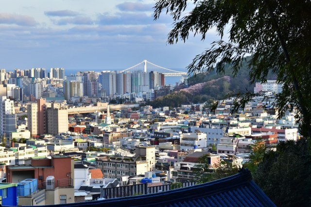 배산에서 바라본 수영동과 광안대교