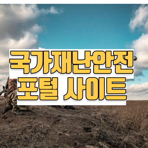 국가 재난 안전포털