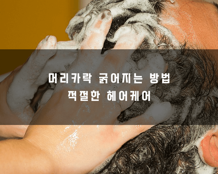 머리카락 굵어지는 방법 - 올바른 샴푸사용법, 헤어컨디셔너제품사용하기