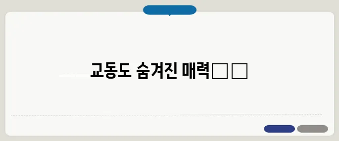 교동도 가볼만한 곳 하루 코스로 완벽하게
