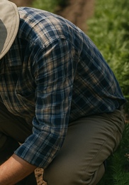 가을당근 파종시기