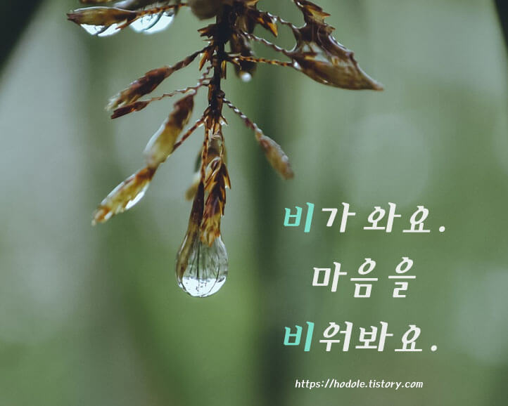 비우기