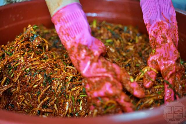 썩은 생강 구별법 김장양념 만들기