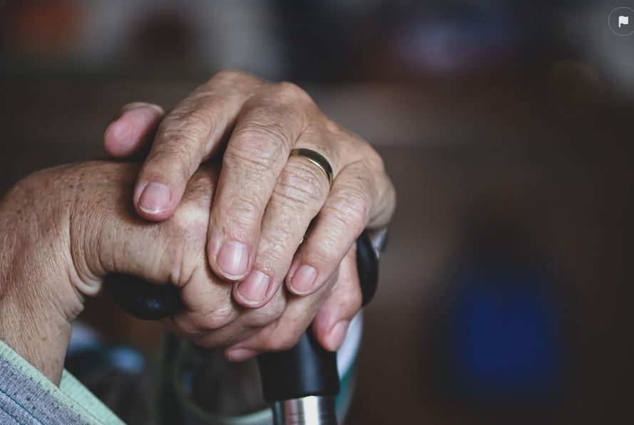 장기노인요양보험_경제