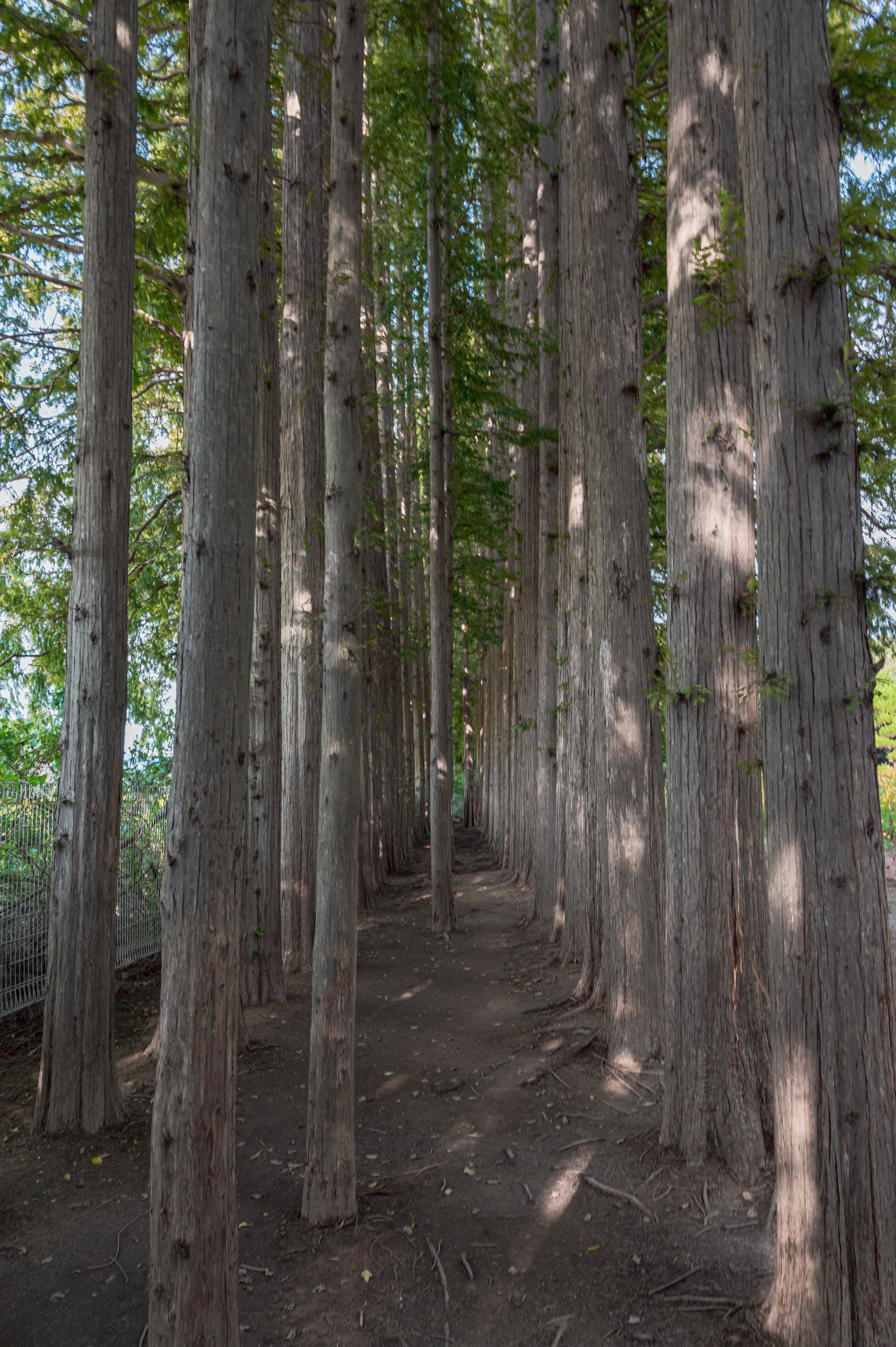 ์๊ฐํ ์ ์