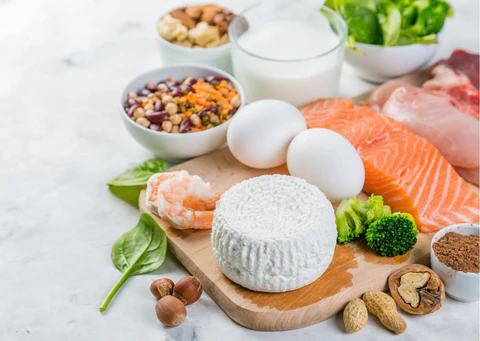 락토페린 다이어트