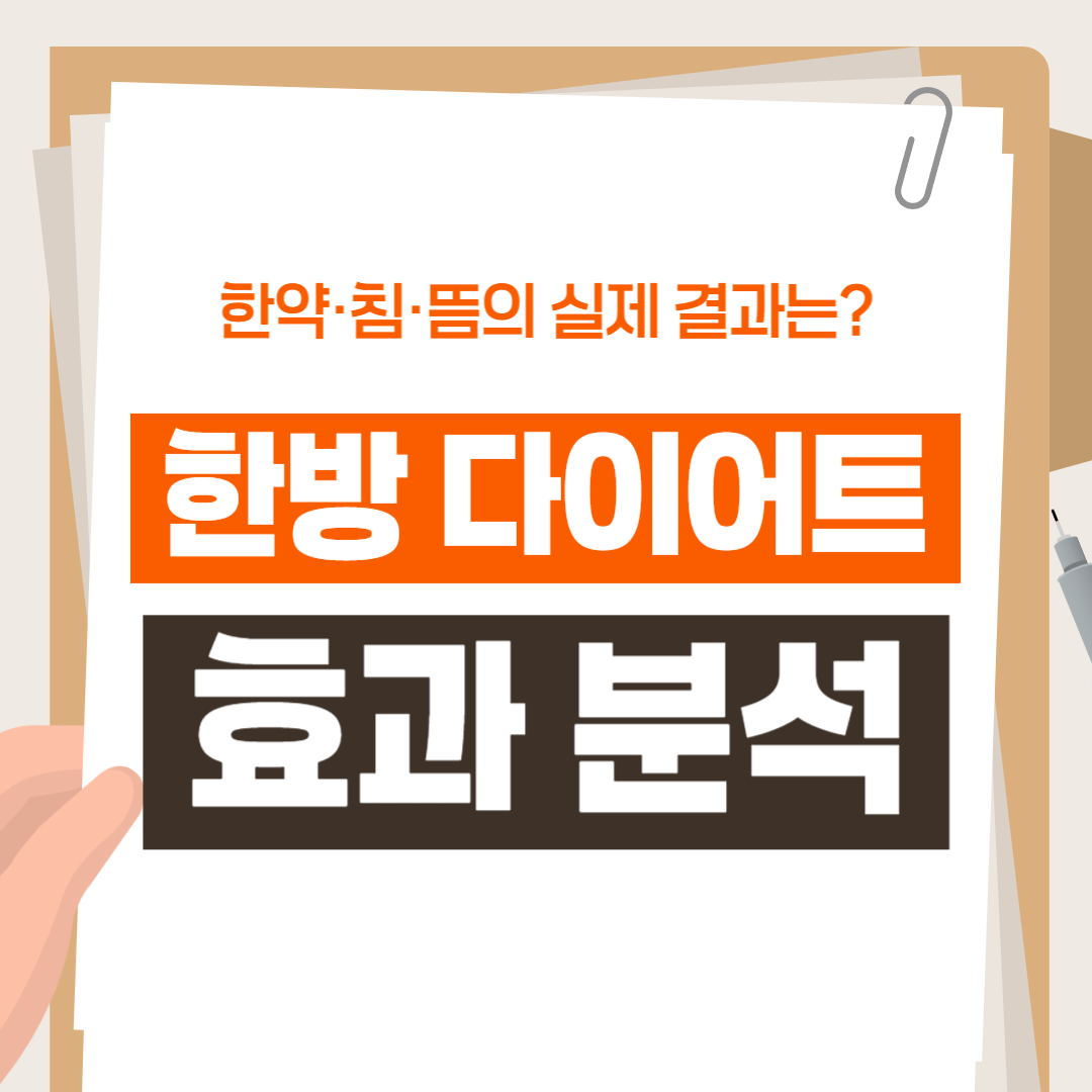 한방 다이어트 효과 분석