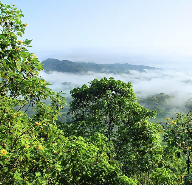 민주지산의 자연경관 사진