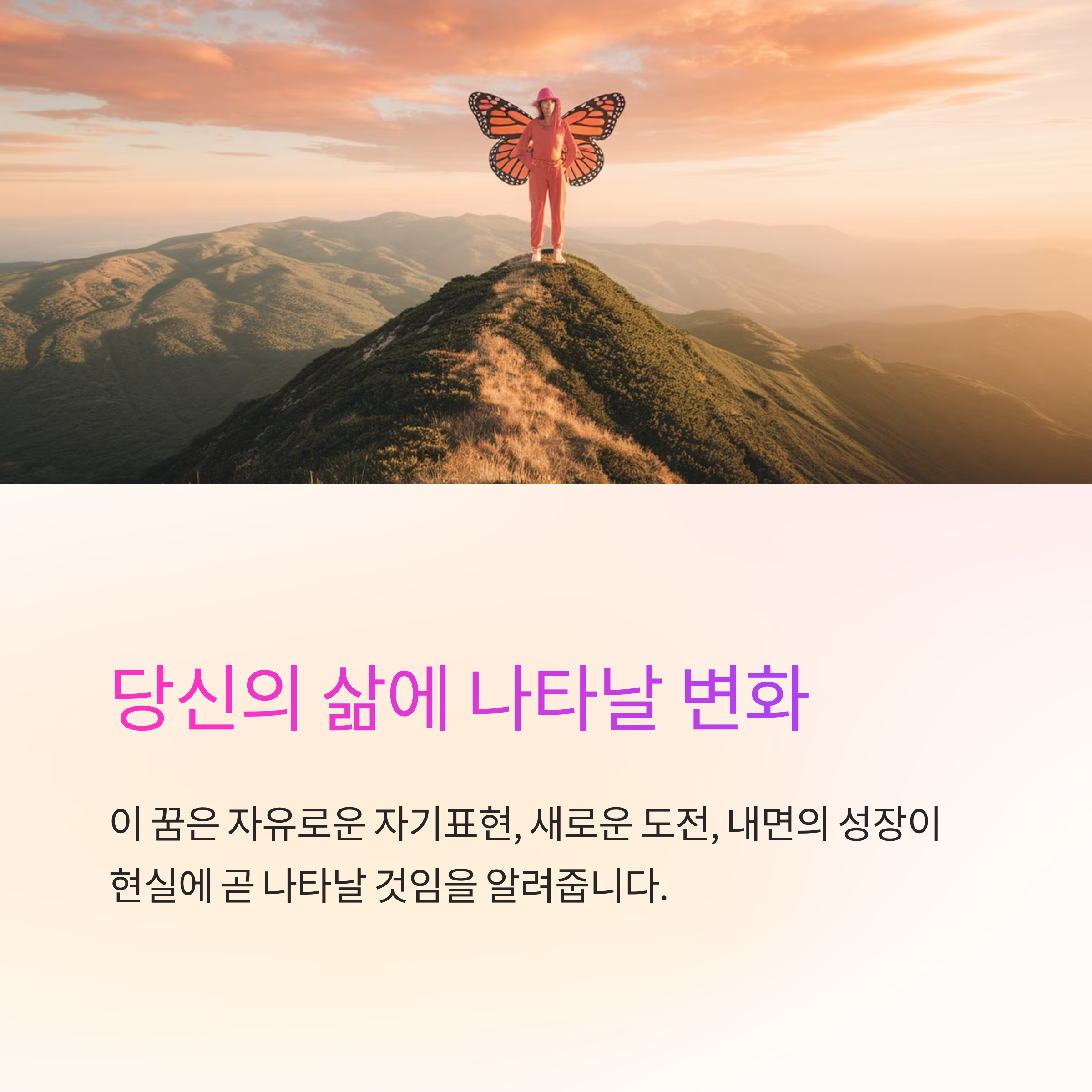 나비가 날아다니는 꿈