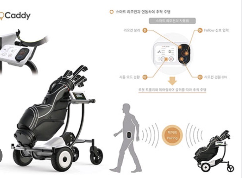 한국 골프 핫 뉴스