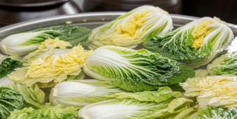 배추30포기-사진1