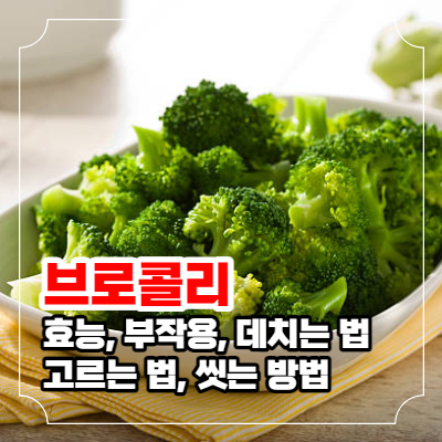 브로콜리 효능과 부작용 및 데치기&#44; 씻는 방법