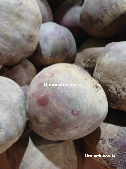 비트 효능 고혈압 예방 질산염