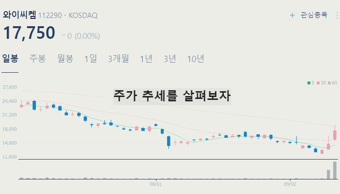글라스 유리기판 관련주 주식 TOP7