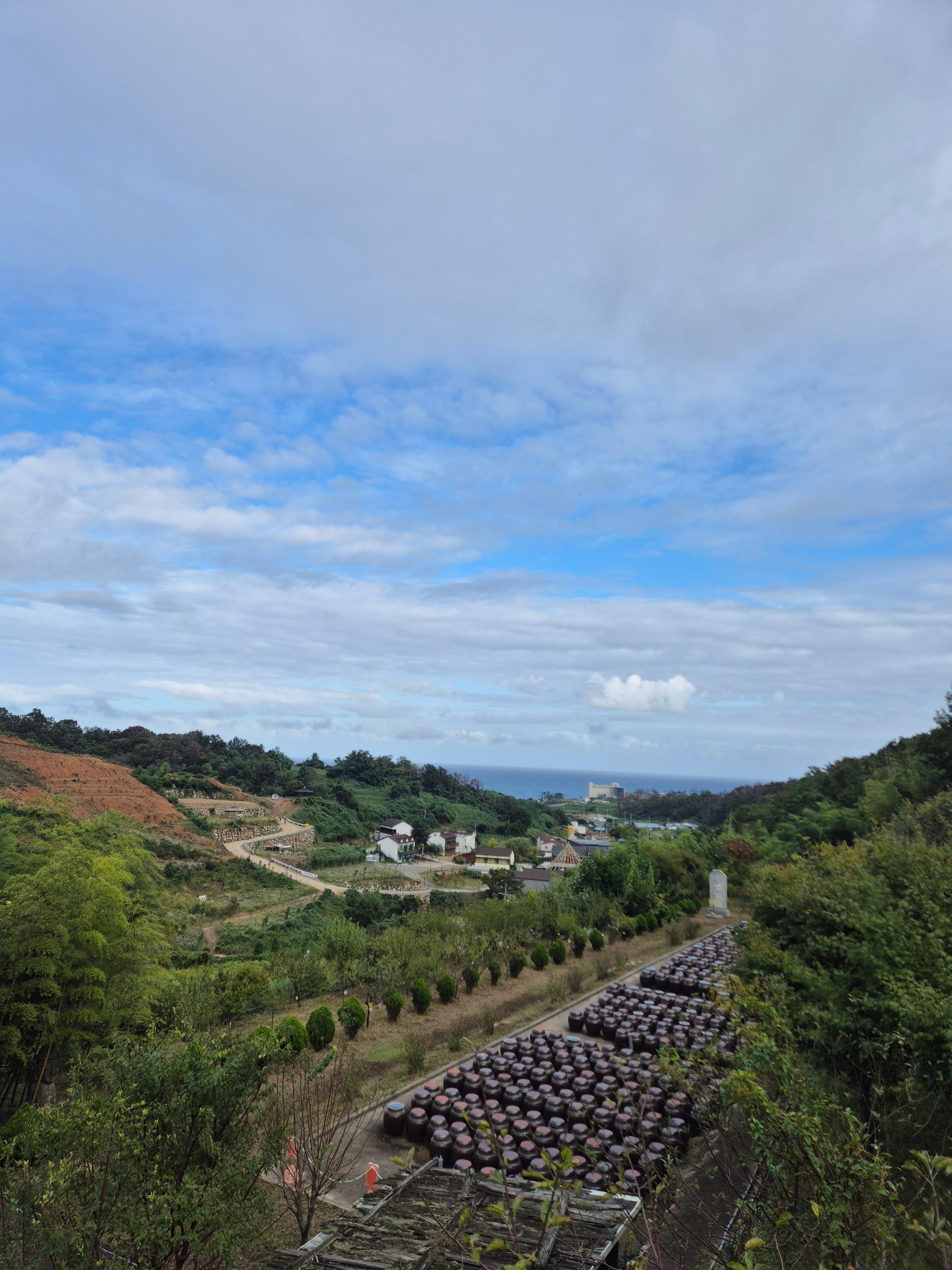 초보자를 위한 토지 투자 리스크 관리