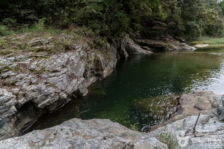 [강원도 여행지 추천] 홍천 가볼만한 곳 베스트 10 공작산생태숲