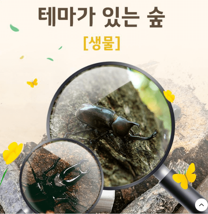 2025 화담숲 벚꽃 예매하기 관련사진