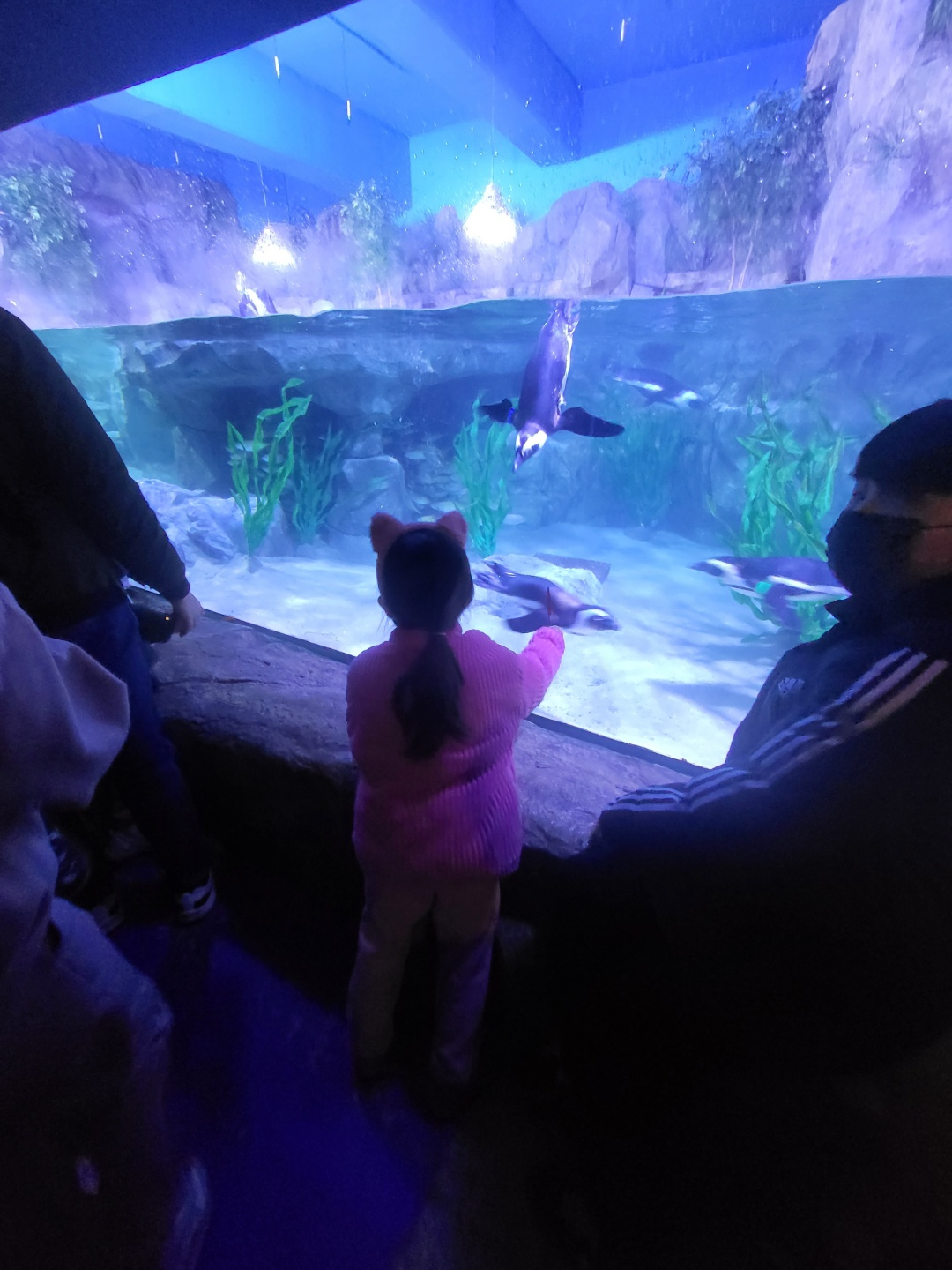 부산 아쿠아리움