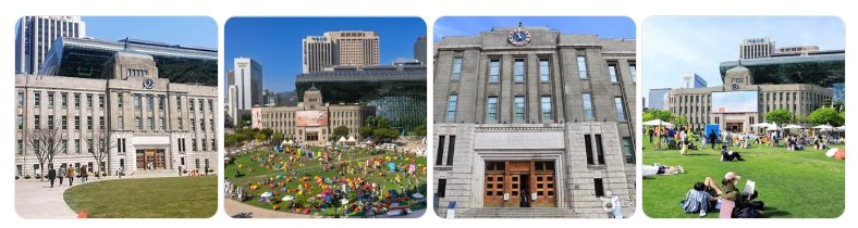 서울도서관과 서울광장에서 피크닉을 즐기는 시민들의 모습