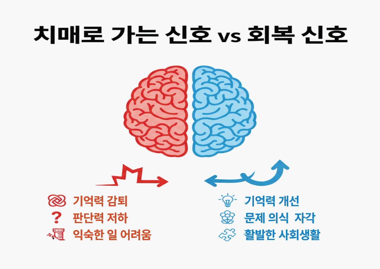 치매로 진행되는 신호 vs 정상 회복 신호 구분법 - 이 차이를 아는 순간, 대응이 완전히 달라집니다
