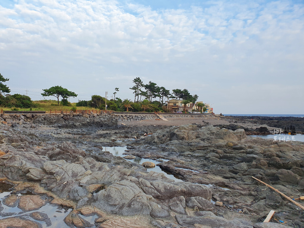 서귀포 대평포구 해변