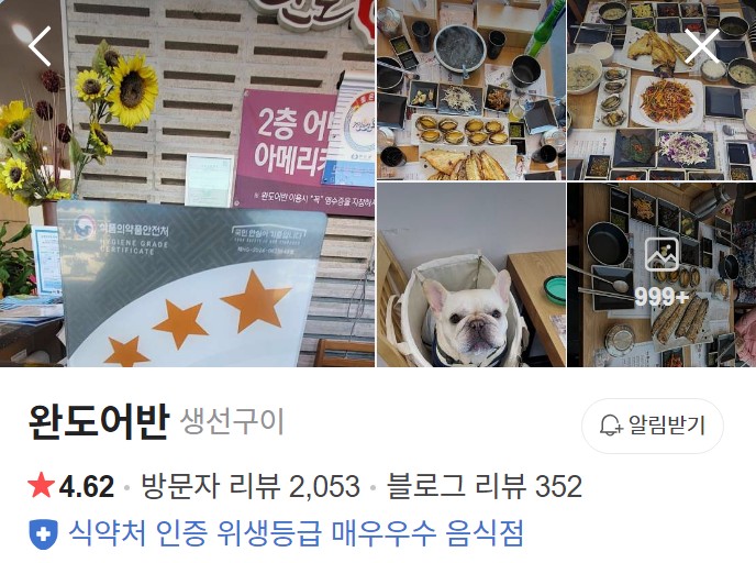 완도어반 네이버 플레이스