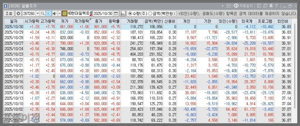 HD현대일렉트릭 주가 분석, 전력기기&middot;AI인프라 투자에서 찾은 진짜 성장주