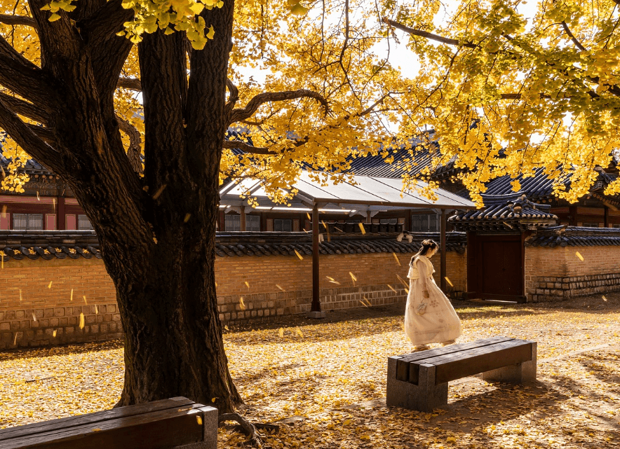 세계유산 남한산성 축제 관련 이미지