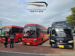 시&middot;군별 청년 전용 교통비 지원-버스집합소