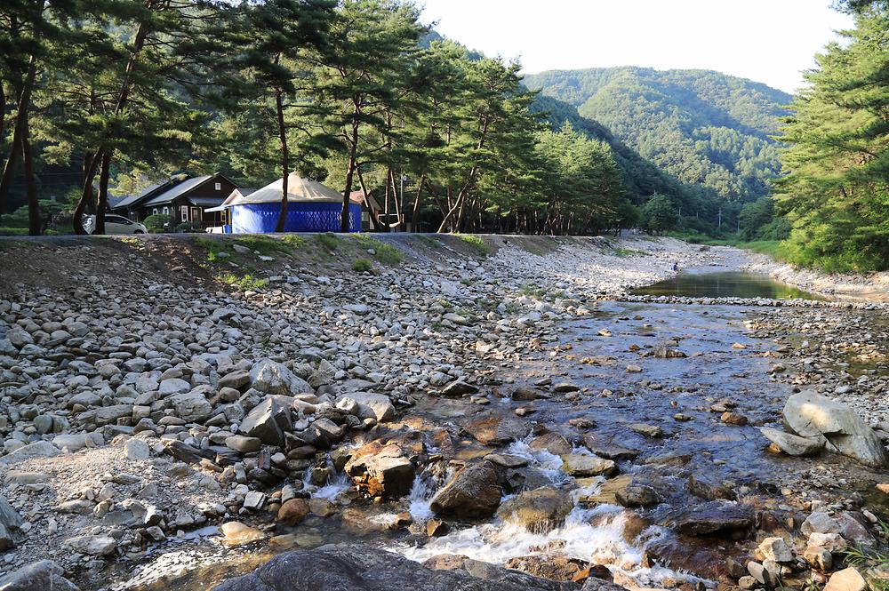 인생캠핑장, 영월 솔밭캠프장 소개