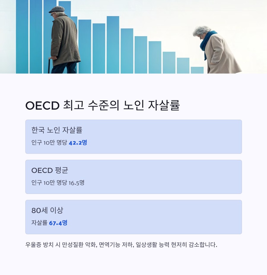 OECD 통계로 본 한국 노인 자살률 현황 그래프