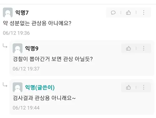 강원대 주변 양귀비