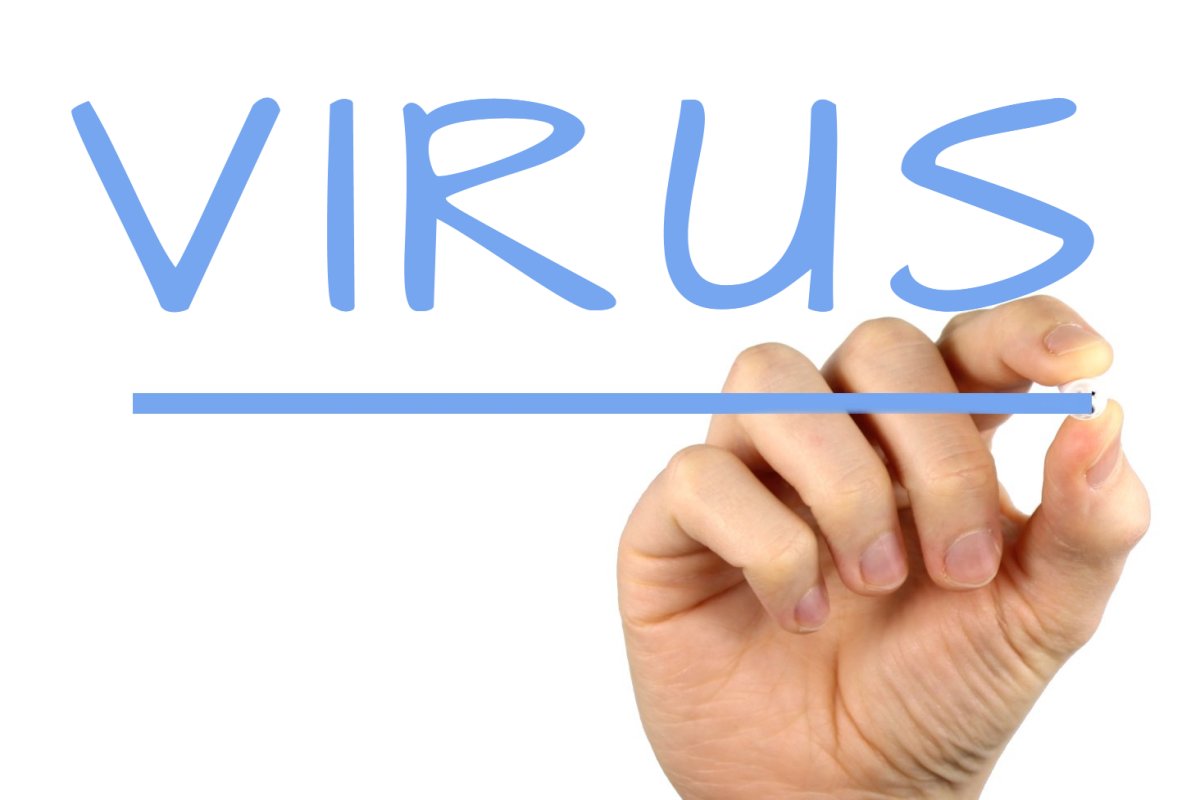 방역패스 발급 방법