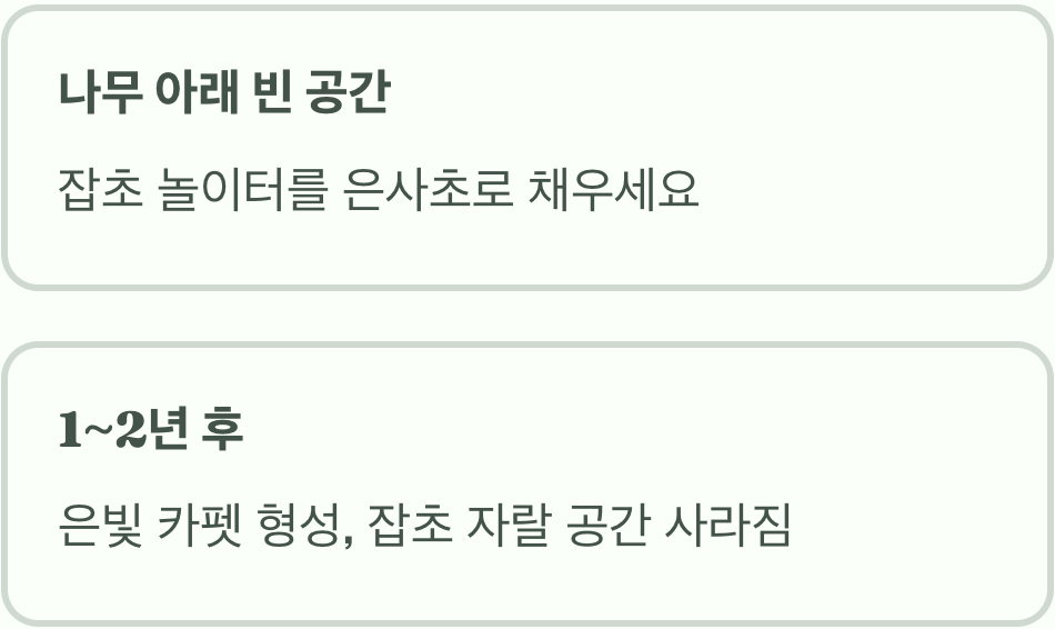 활용법 하나, 잡초와의 전쟁을 끝낼 녹색 카펫